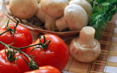 Spotlight on the Versatility of the Tomato – Italian Cuisine  